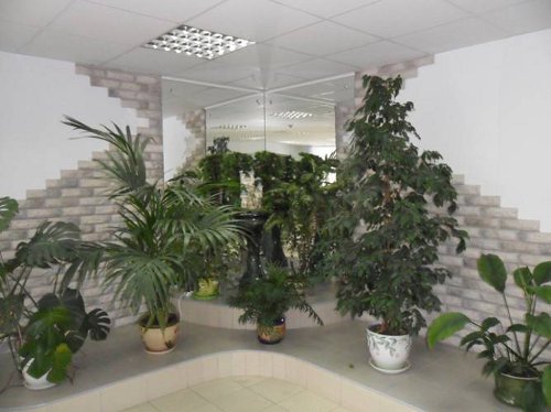 Общежитие №1