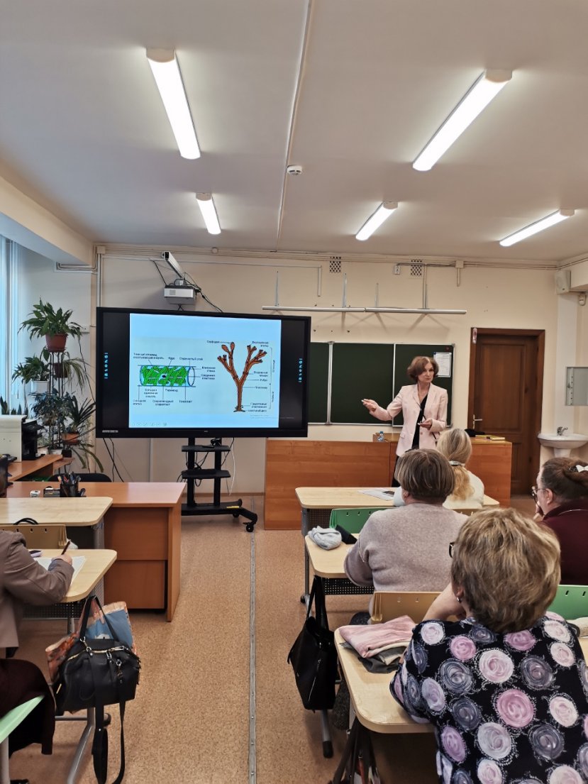 Очередное занятие в рамках проекта "Научное наставничество - педагогам и учащимся профильных классов" с учителями биологии
