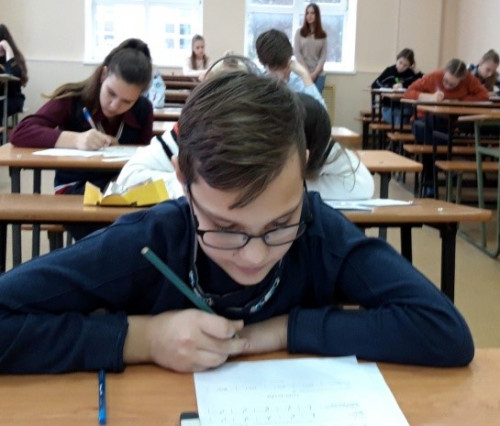 Муниципальный этап Всероссийской олимпиады школьников по биологии