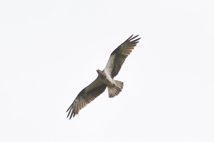 Итоги экспедиции биологов нашего университета