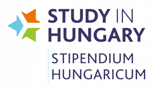 Стажировка в Венгрии